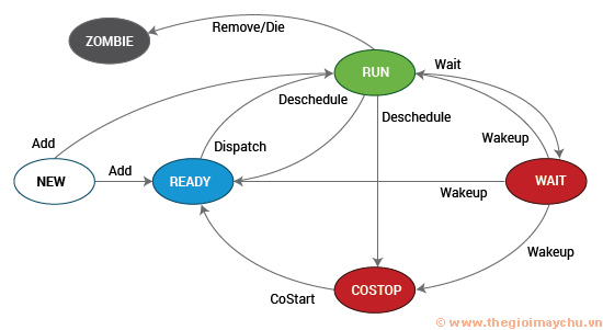 Four states of VM CPU