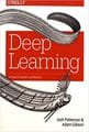 Deep Learning: A Practitioner