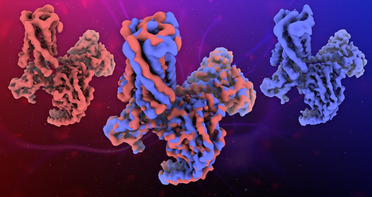 Các công ty khởi nghiệp sử dụng hình ảnh cấu trúc vi phân tử để tăng tốc chế tạo vắc xin COVID-19