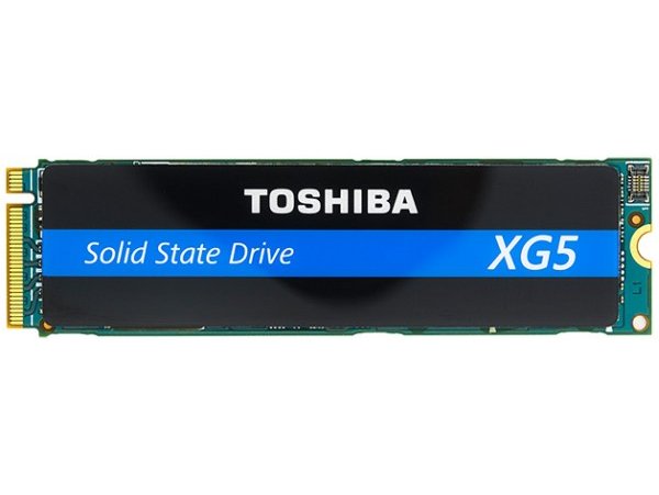SSD Toshiba XG5 256GB NVMe M.2 22x80mm <1DWPD (KXG50ZNV256G)