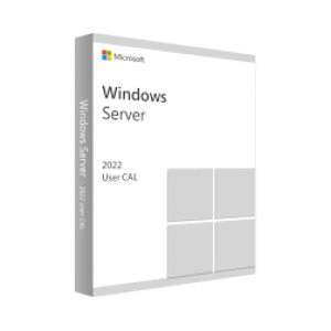Phần mềm Microsoft Windows Server 2022 - 1 User CAL