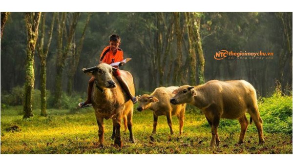Thông báo lịch nghỉ Tết Dương lịch 2021 và Tết Nguyên đán Tân Sửu