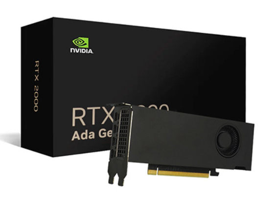 GPU NVIDIA RTX 2000 ADA 16GB GDDR6